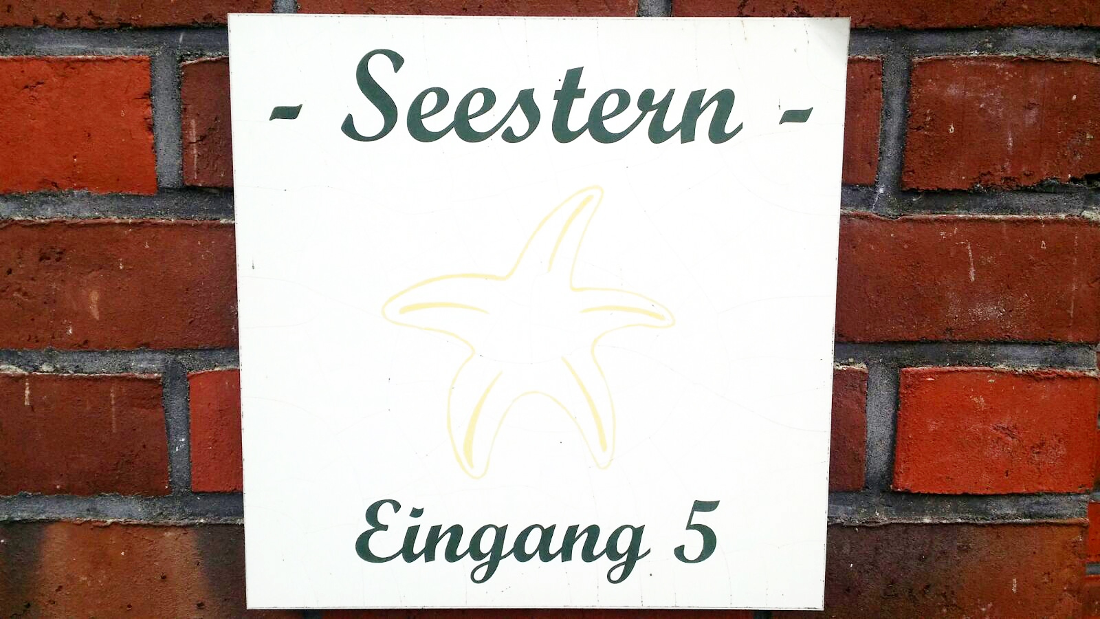 G_5_Seestern